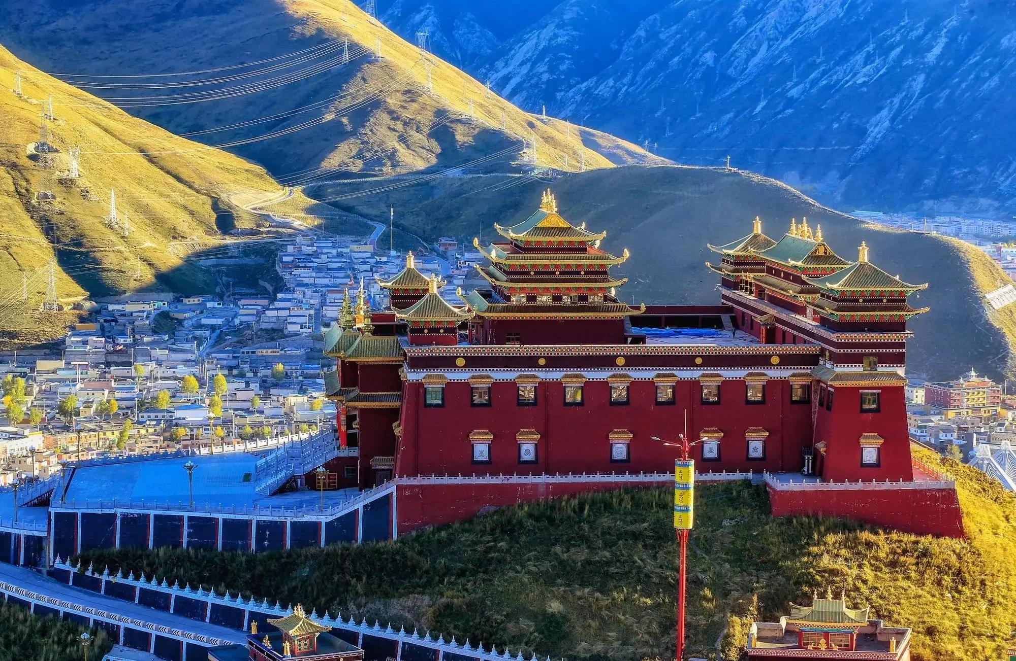 玉树