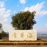 青华海国家湿地公园景区