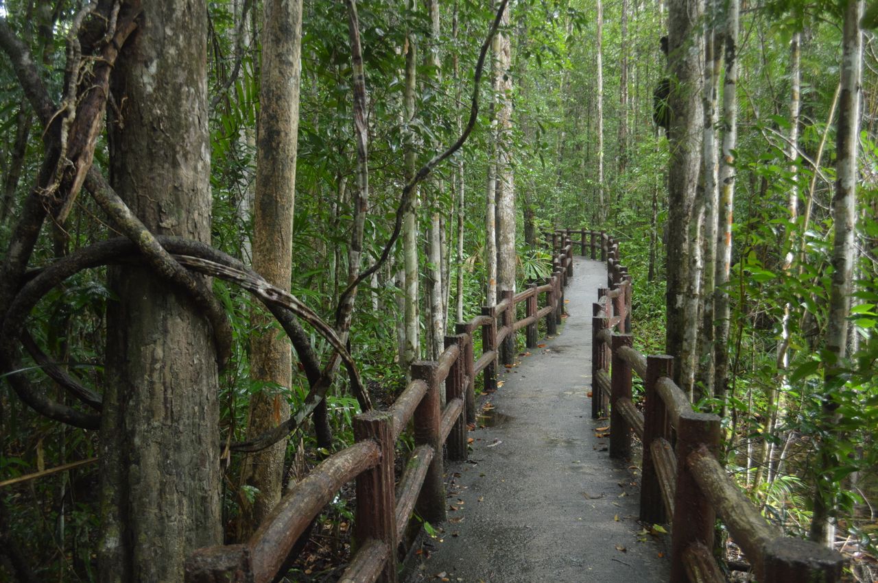 呀诺达雨林文化旅游区