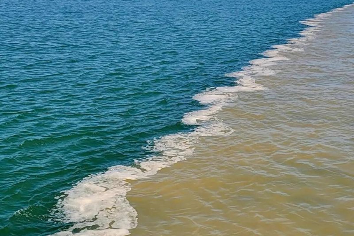 黄河入海口