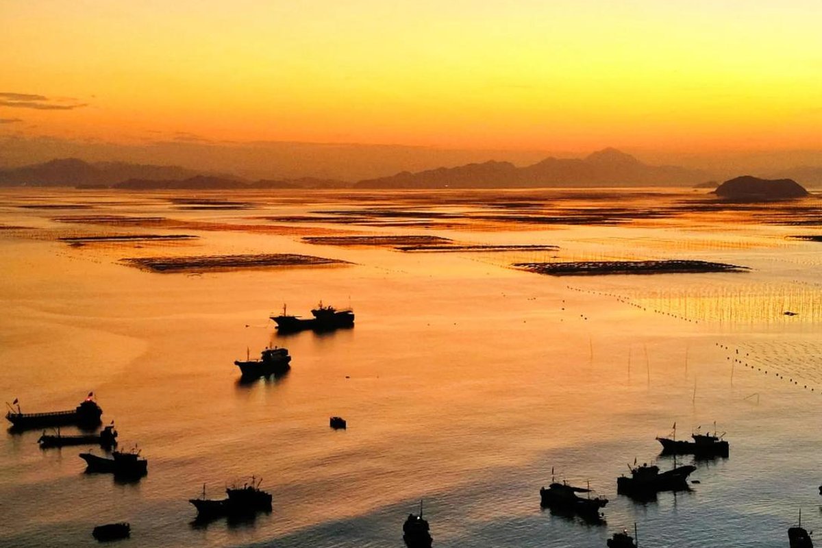 霞浦滩涂