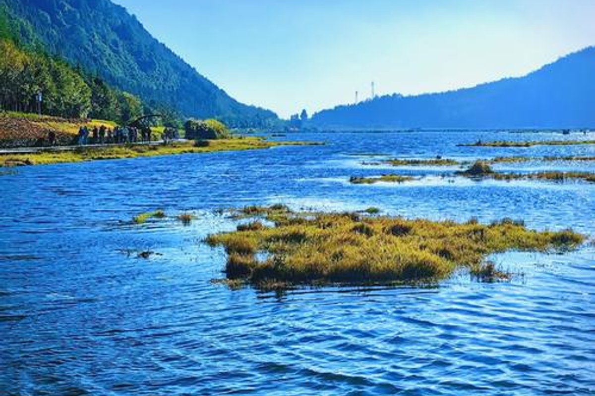 腾冲北海湿地景区