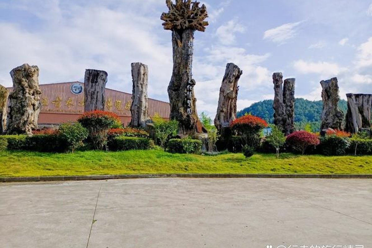 腾冲杜鹃王古木文化博览园景区