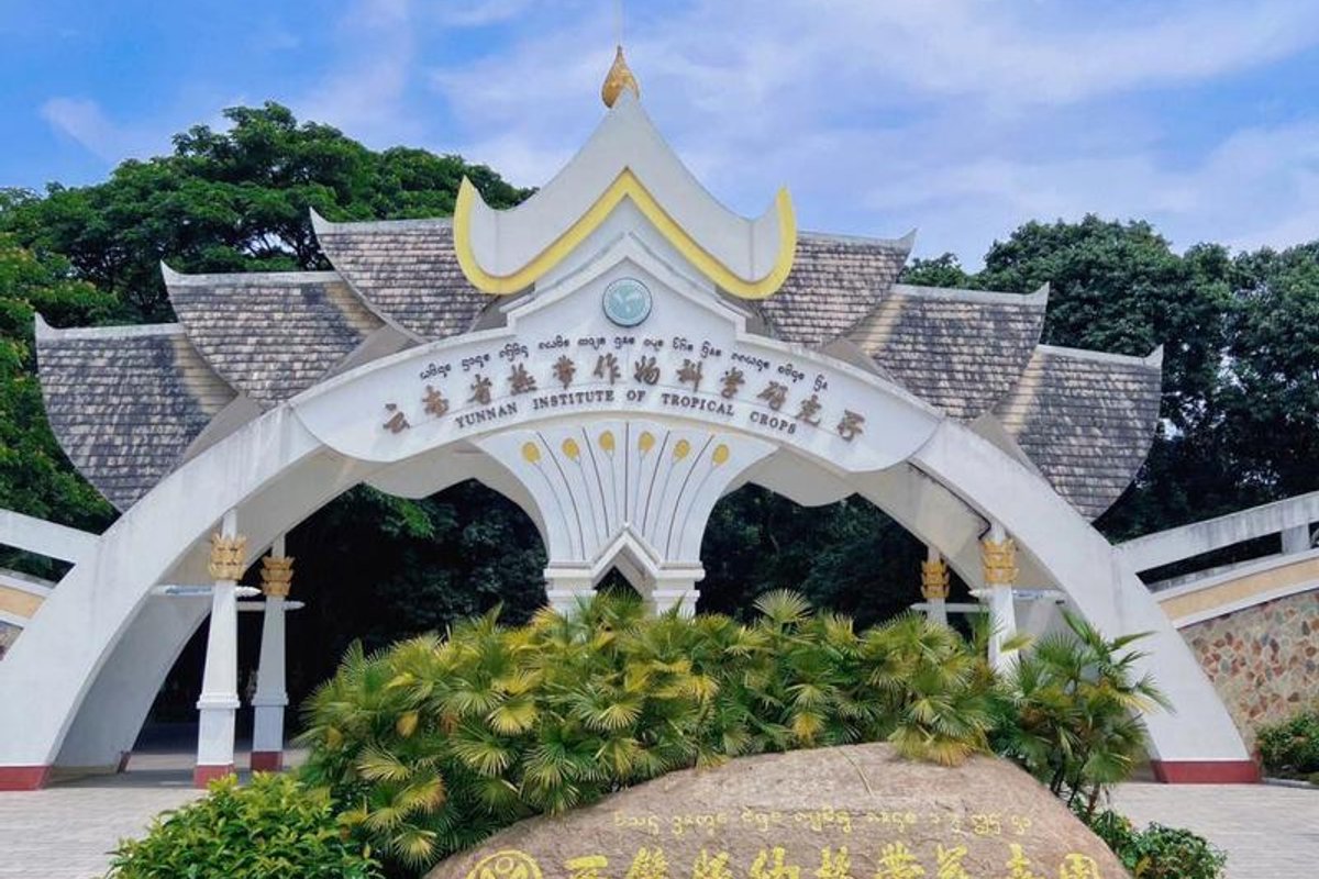 西双版纳热带花卉园景区