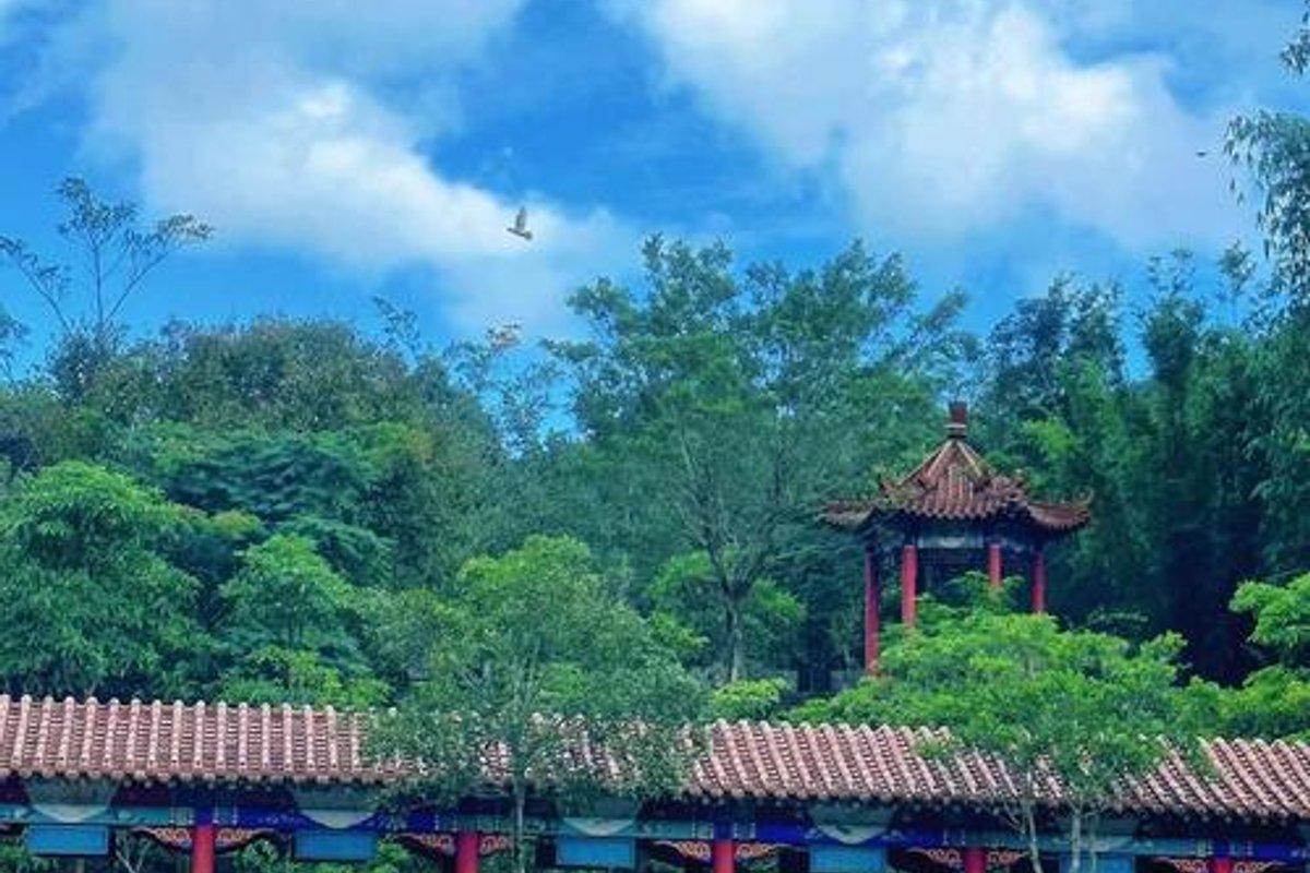 百鸟乐园景区