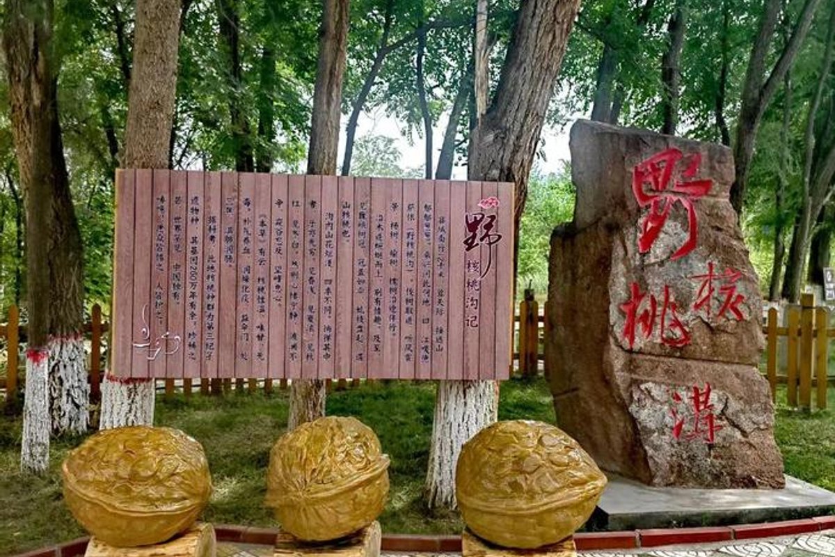 野核桃沟景区