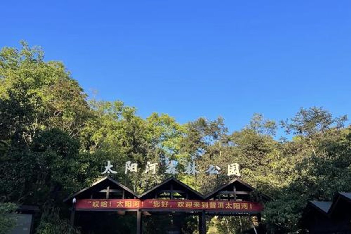普洱太阳河森林公园景区