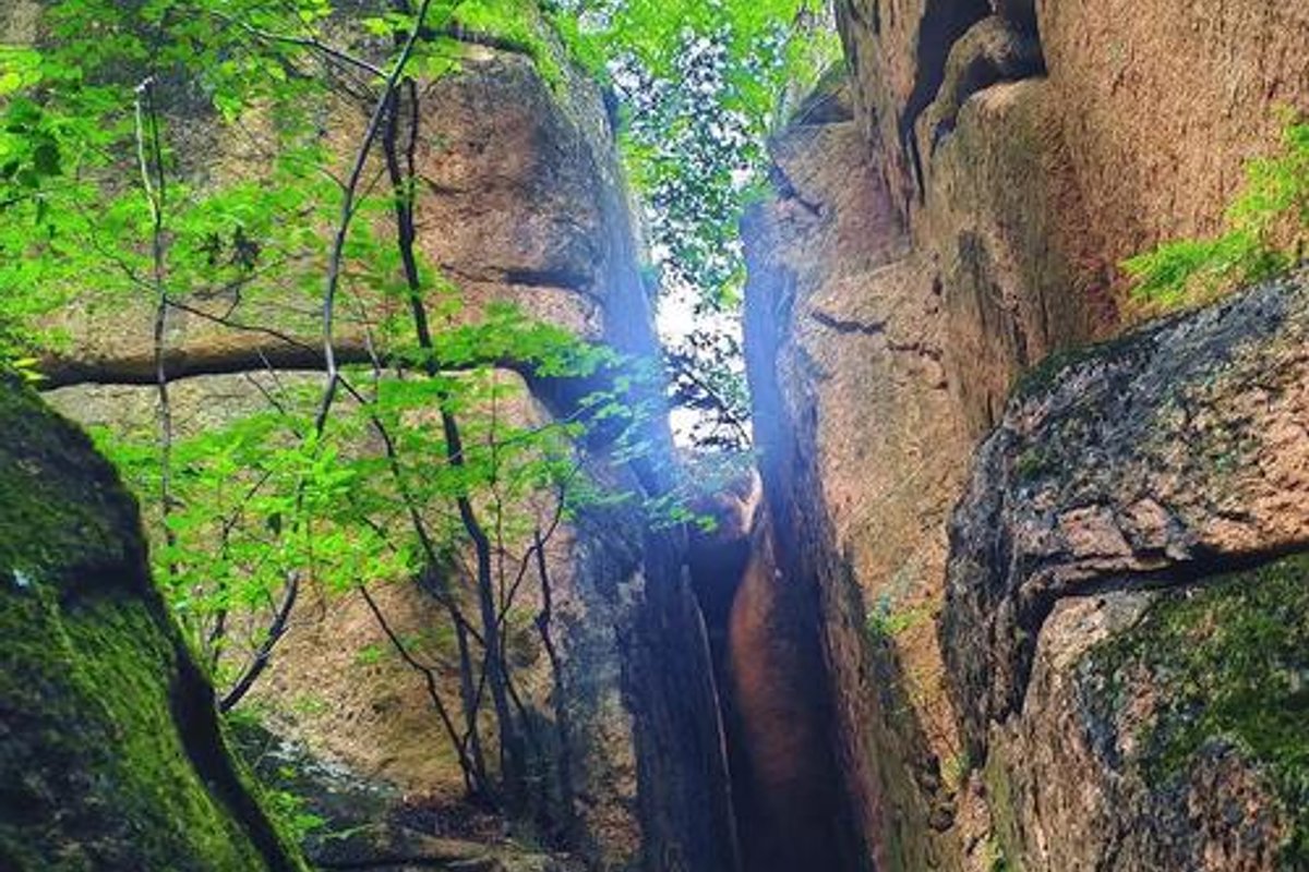 五女峰森林旅游区