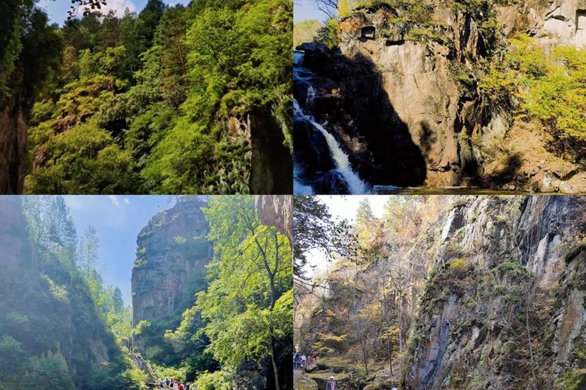 嘉荫茅兰沟森林旅游景区