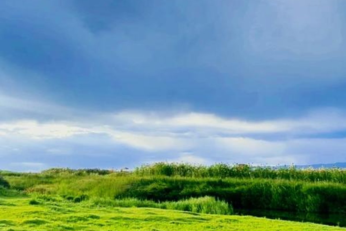 巴里坤高家湖景区