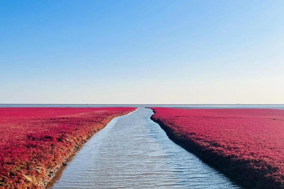 盘锦红海滩国家风景廊道景区
