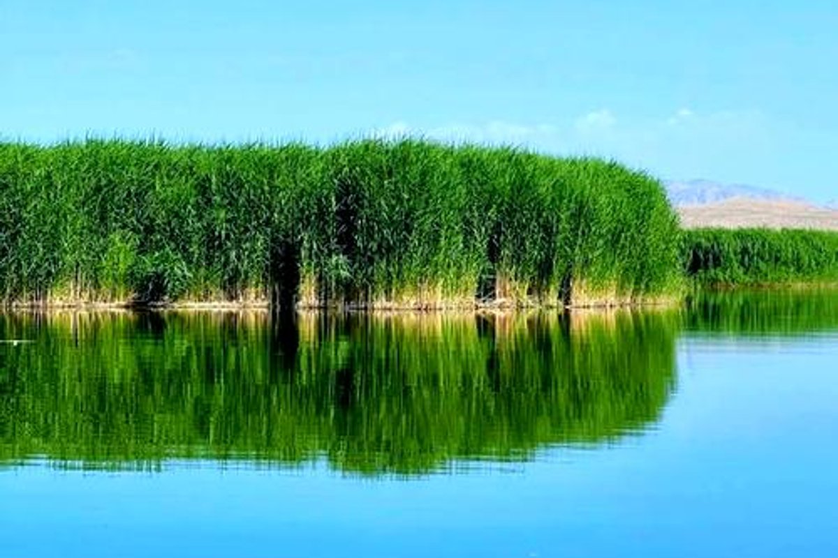 博斯腾湖景区